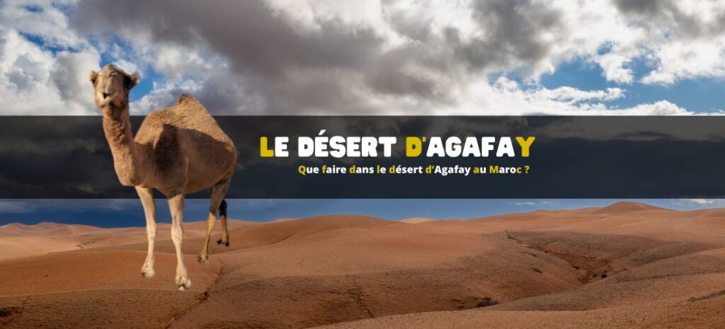 Que faire dans le désert d’Agafay au Maroc ?