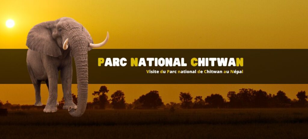 Visite du Parc national de Chitwan au Népal