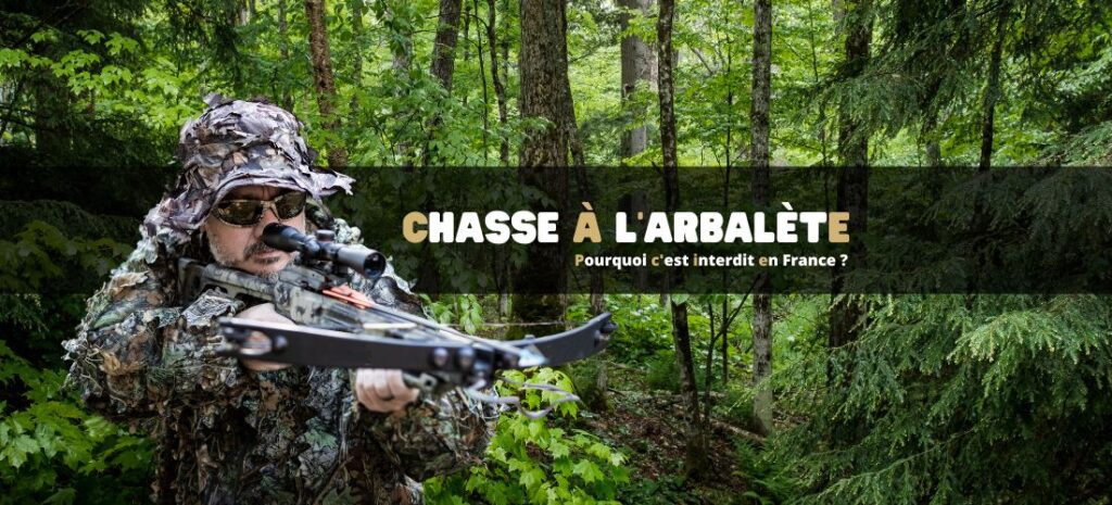 Chasse à l’arbalète en France : pourquoi c'est interdit ?
