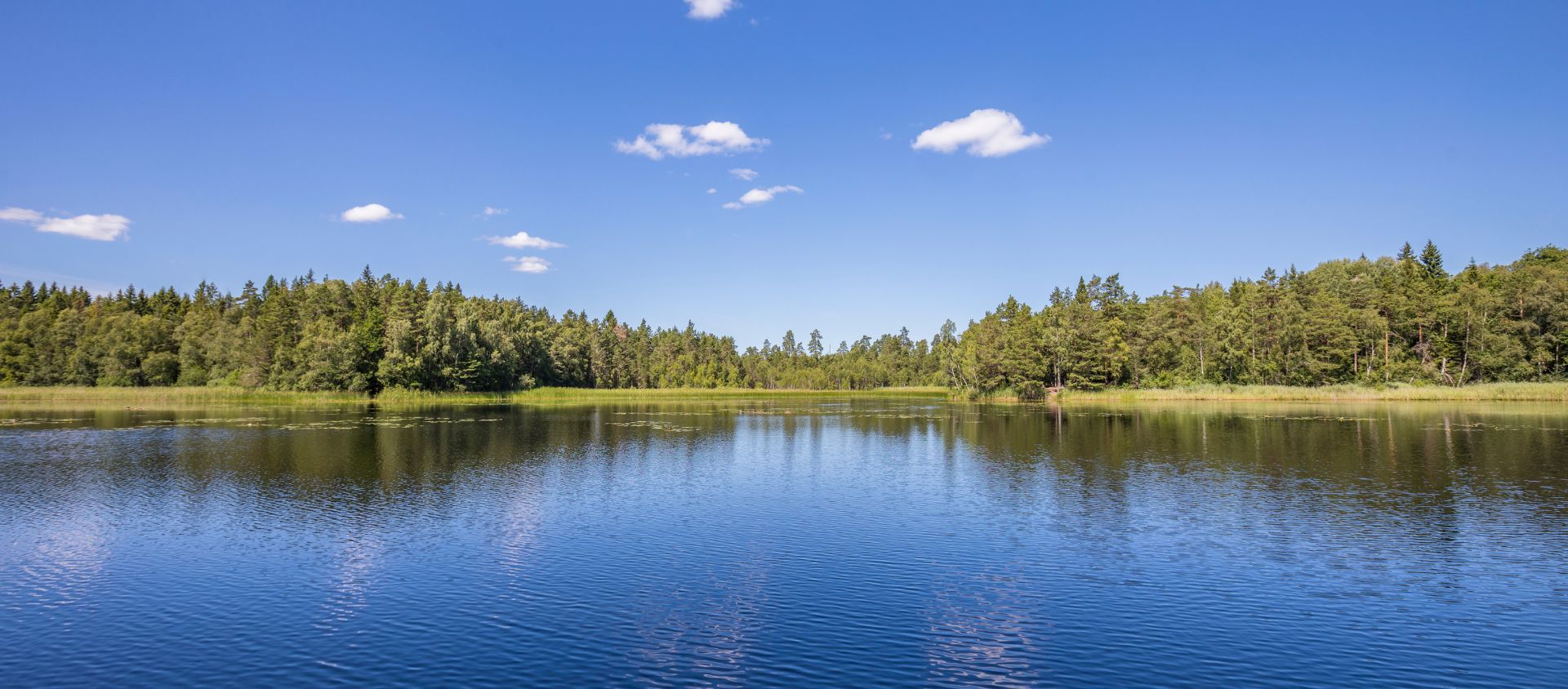Les lacs et forêts de Scandinavie