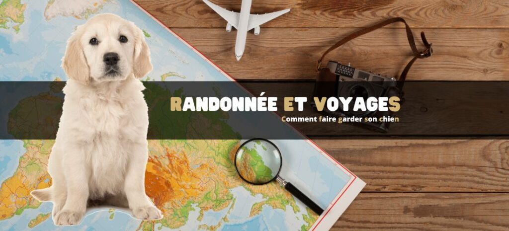 Randonnée et voyages : comment faire garder son chien