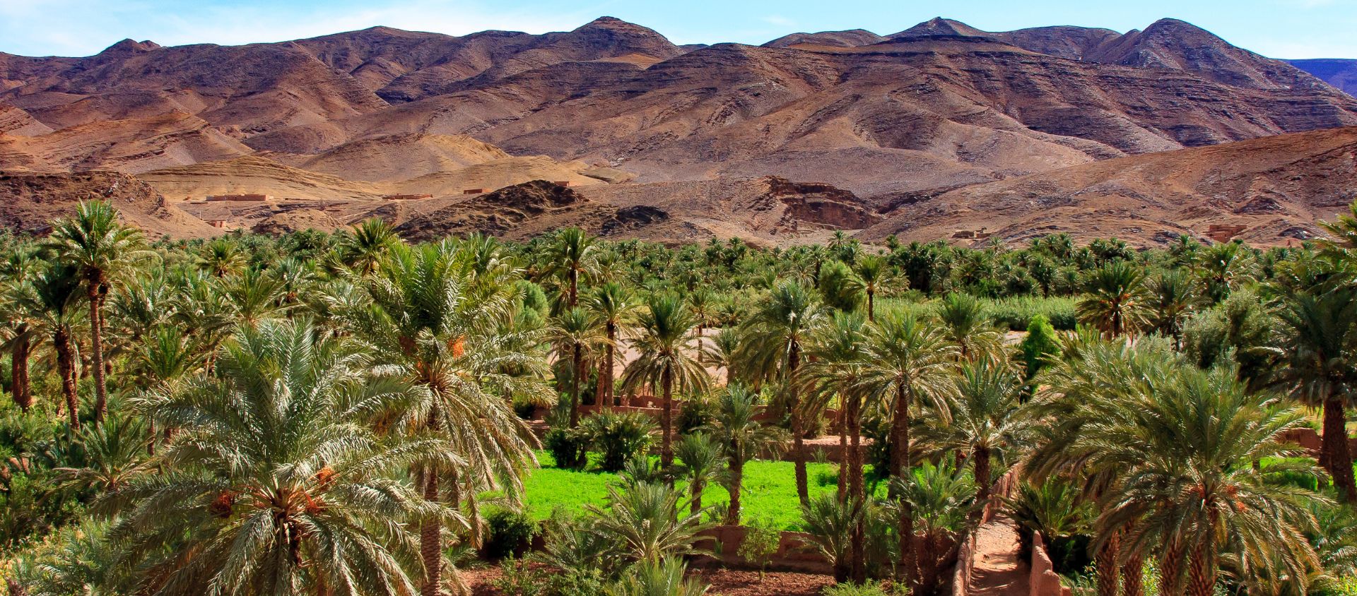 La vallée du Drâa