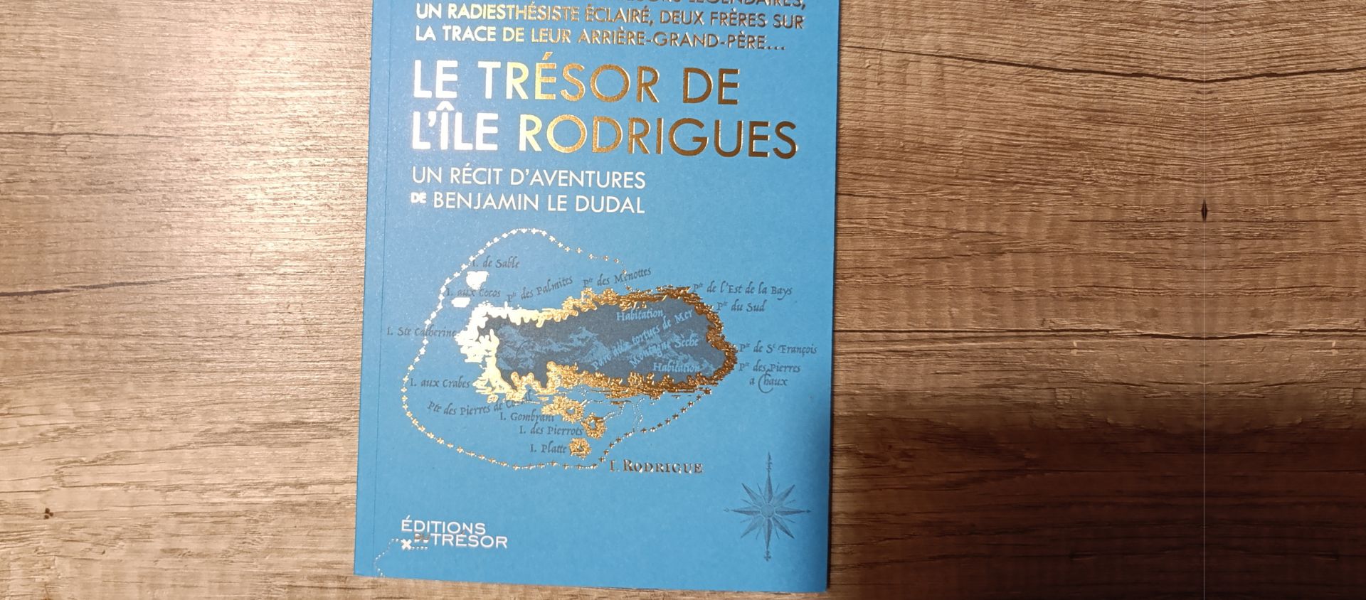 Le Trésor de l'Île Rodrigues : une aventure littéraire