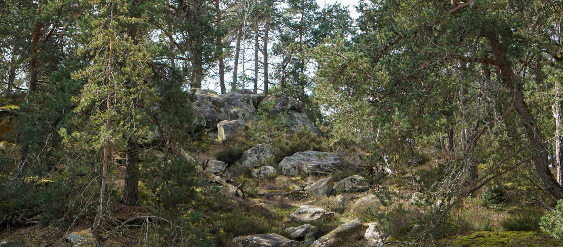 Les plus belles voies d’escalade à Fontainebleau