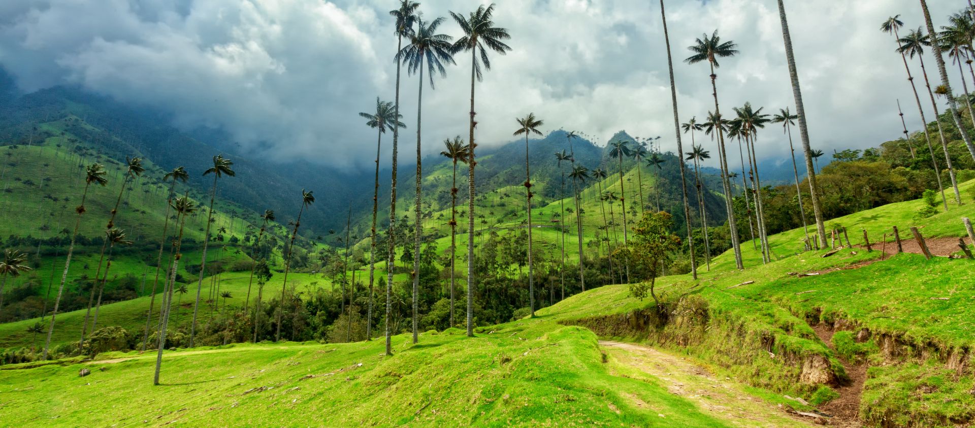 Cocora en Colombie