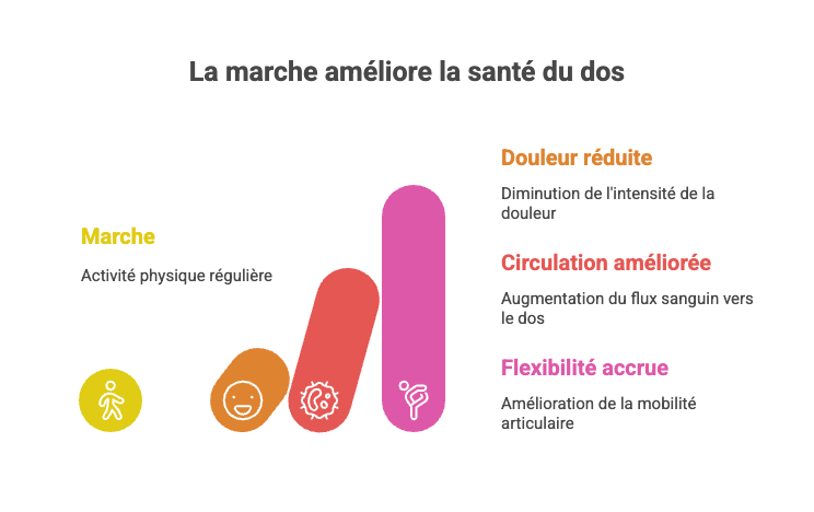 Les bienfaits scientifiquement prouvés de la marche sur le dos