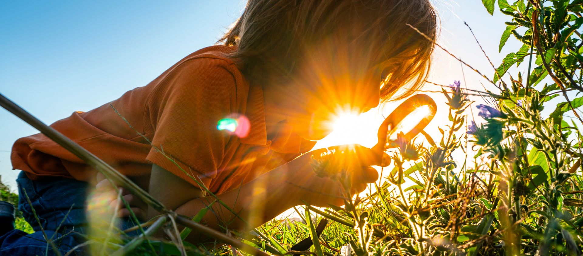 enfants trekking alsace