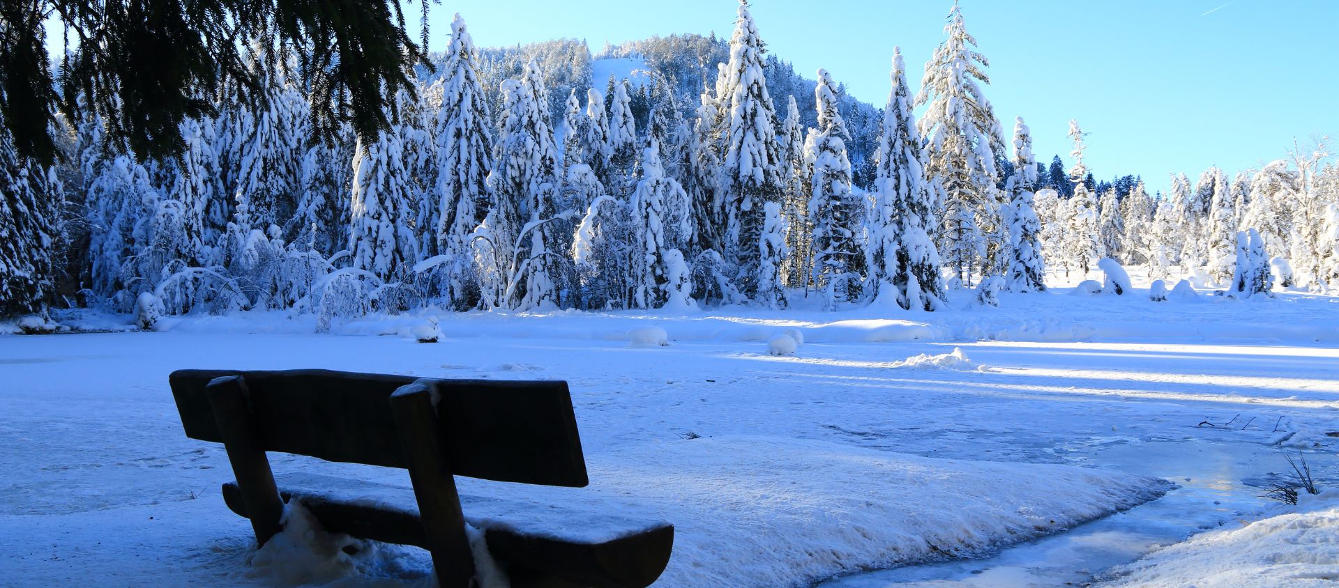 lac de Lispach dans les Vosges