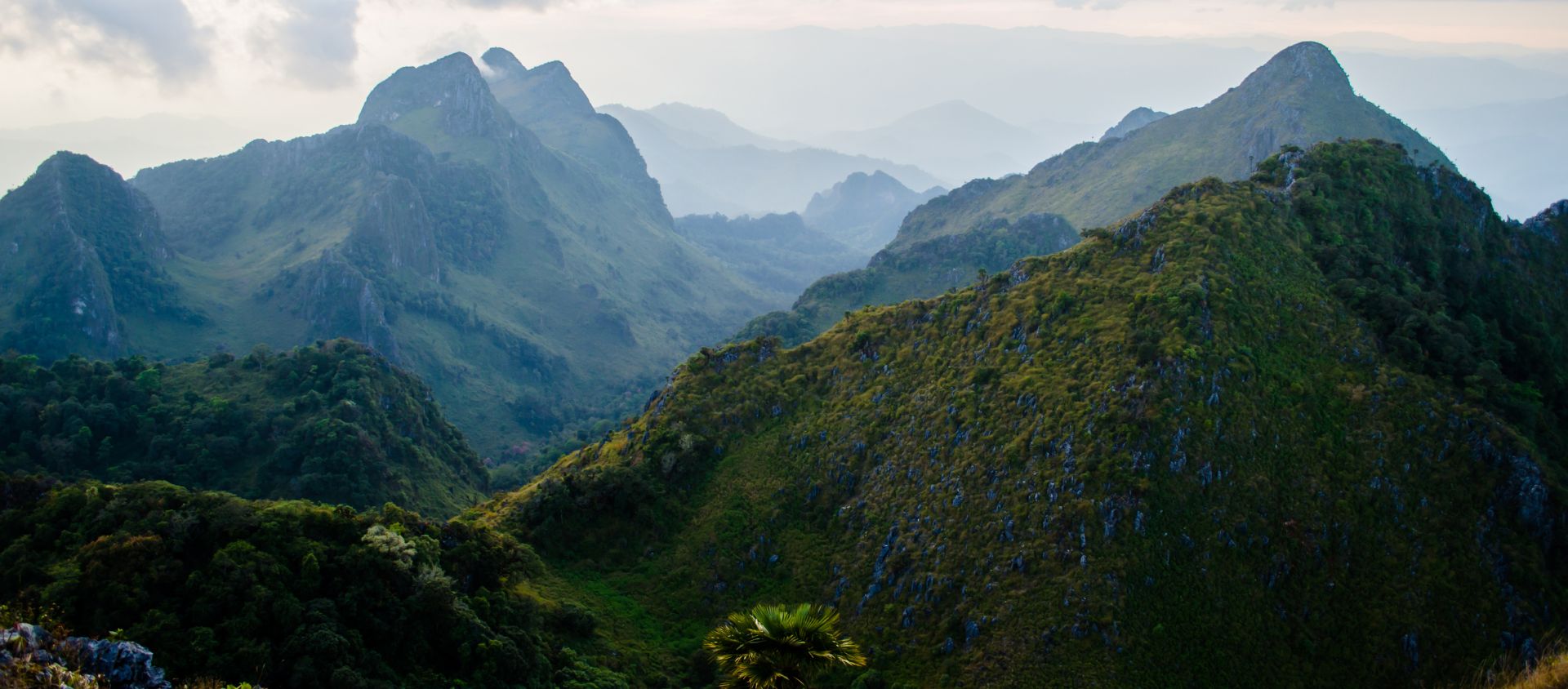 Doi Chiang Dao