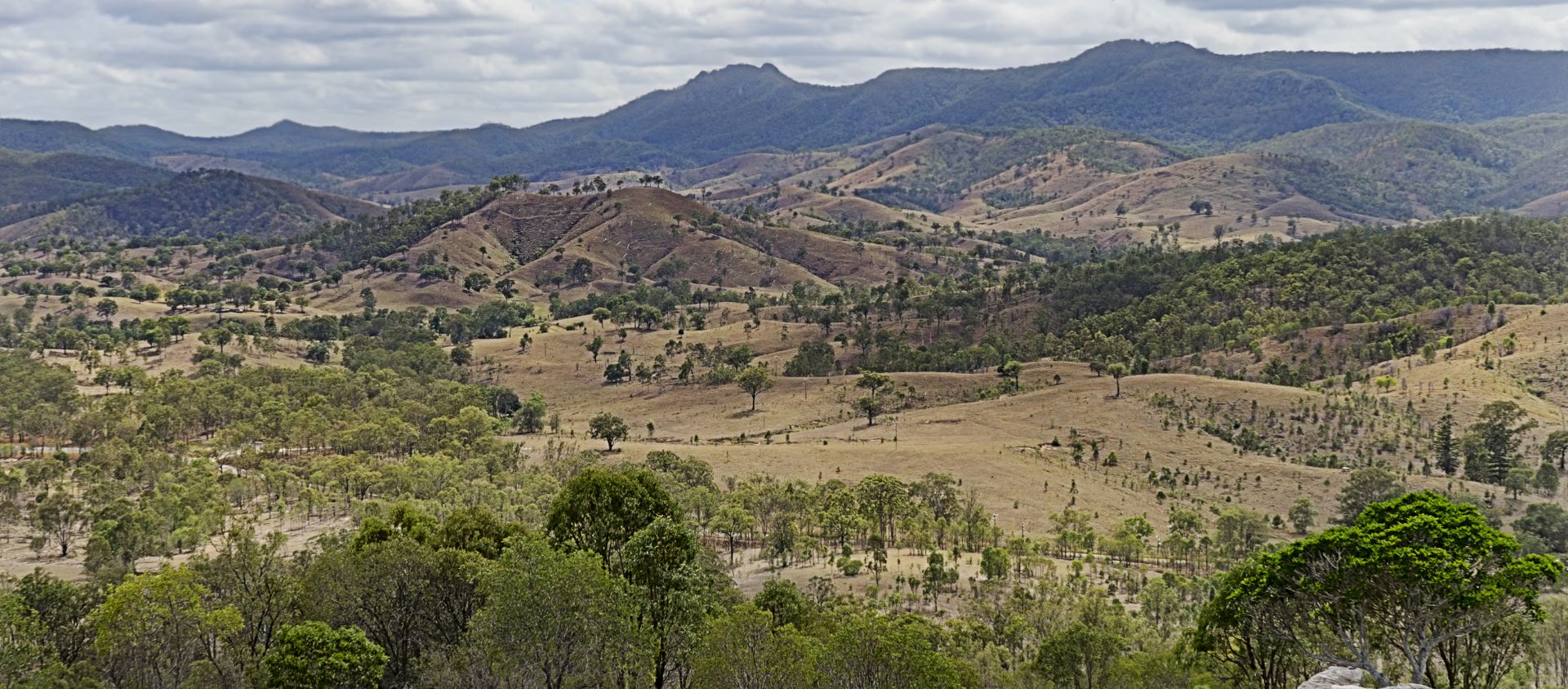 Mount Bartle Frere au Queensland