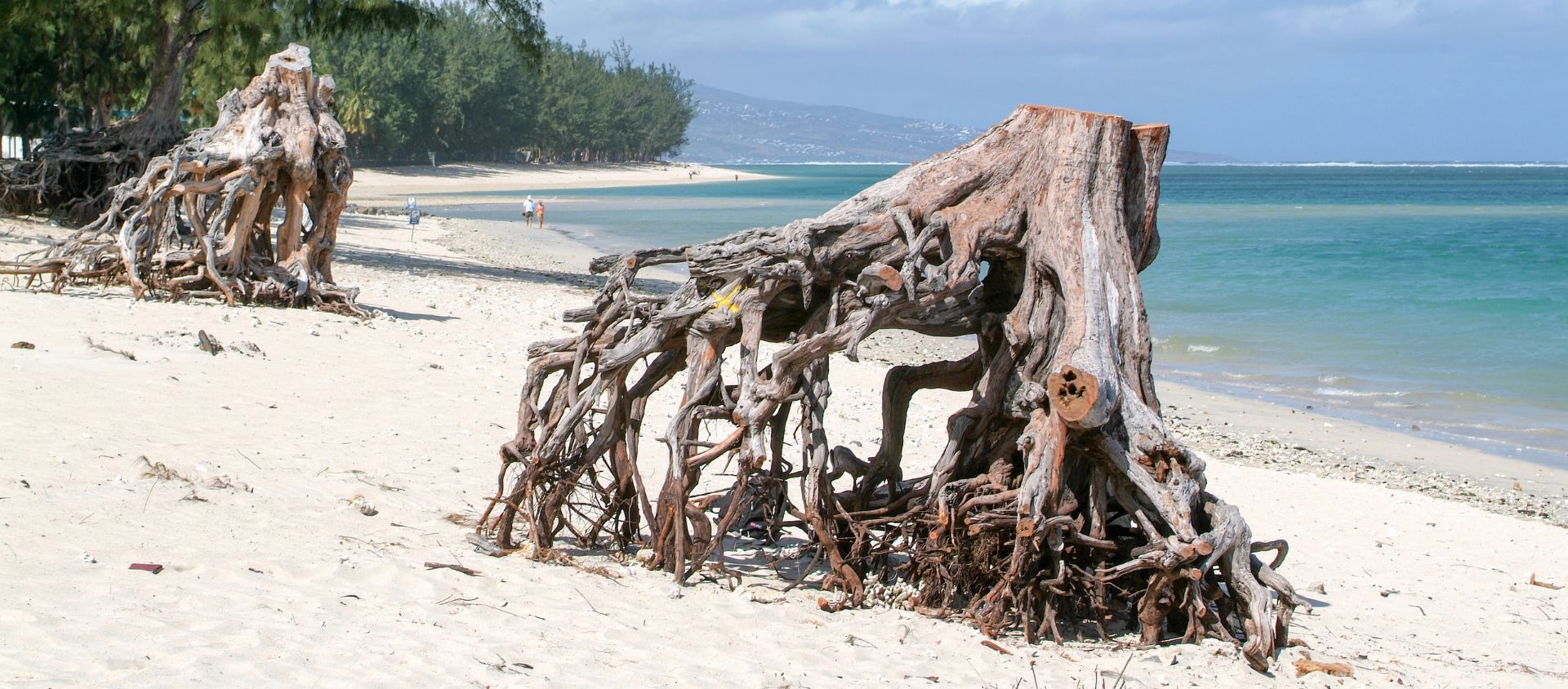 plage de l'Ermitage réunion