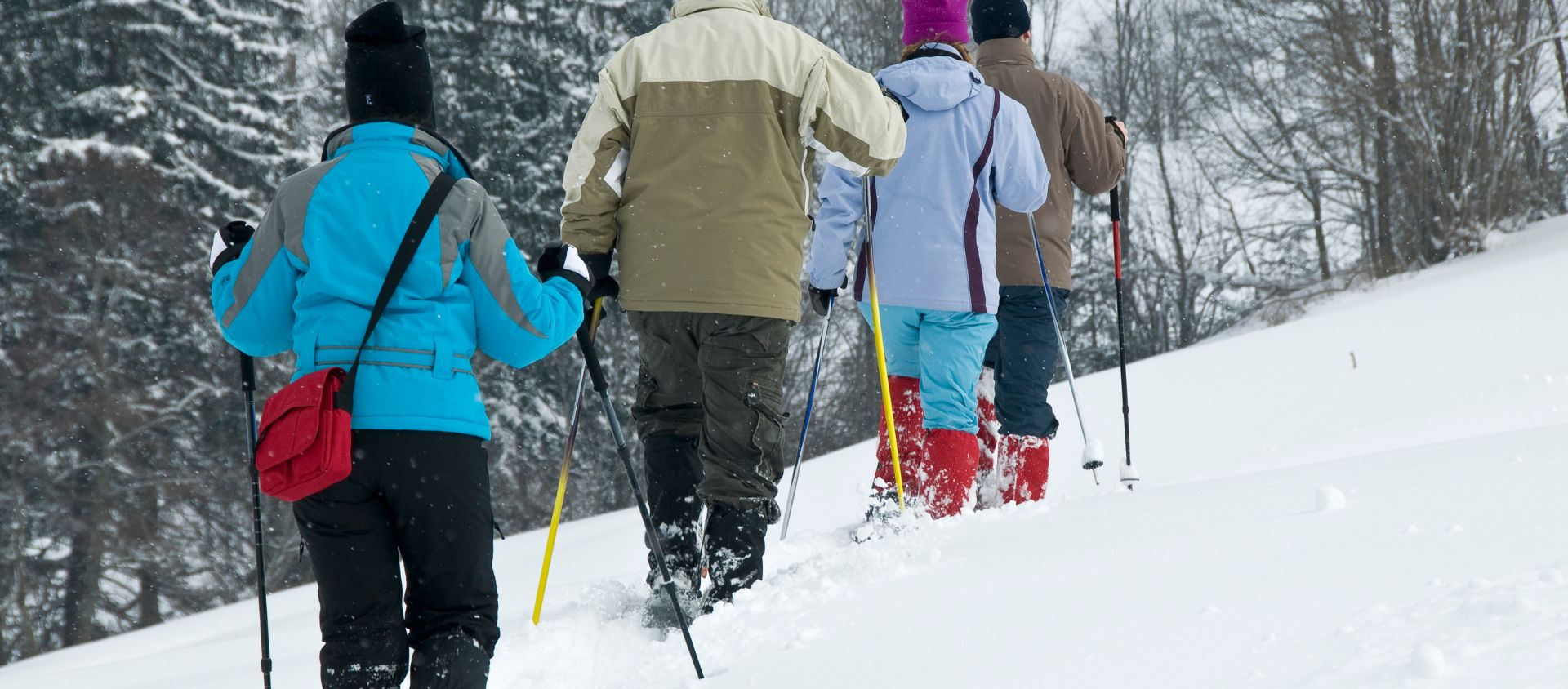 randonnée en raquette à neige