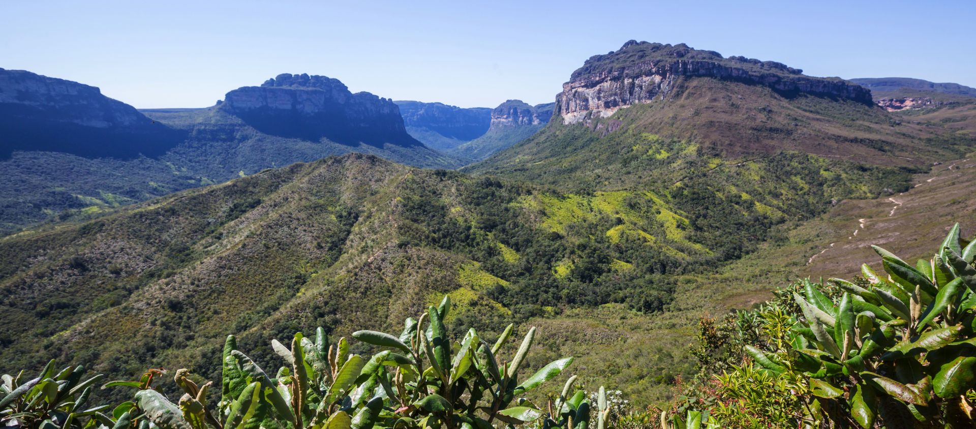 Chapada Diamantina brésil