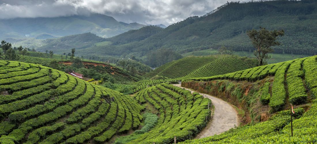 Les plus belles randonnées à faire en Inde
