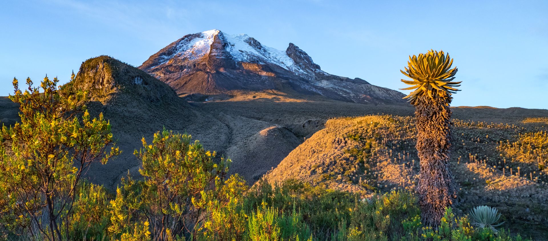 Los Nevados colombie
