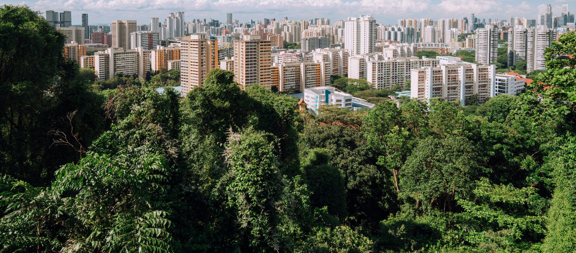 Mount Faber Park singapour