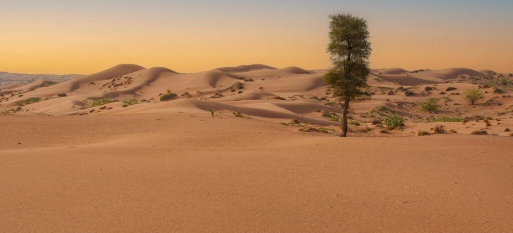 Où randonner aux Emirats arabes unis : les plus beaux treks