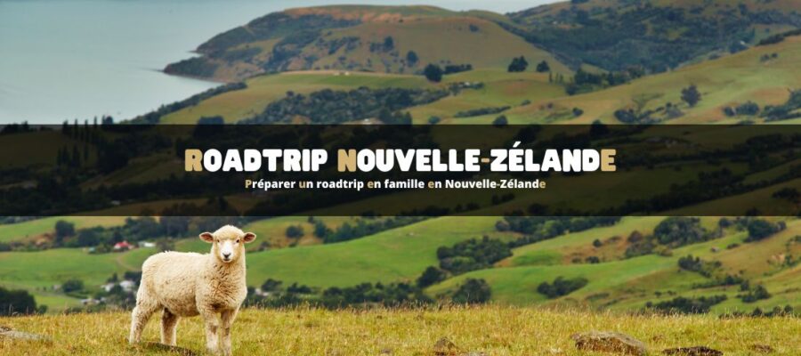 Préparer un roadtrip en famille en Nouvelle-Zélande
