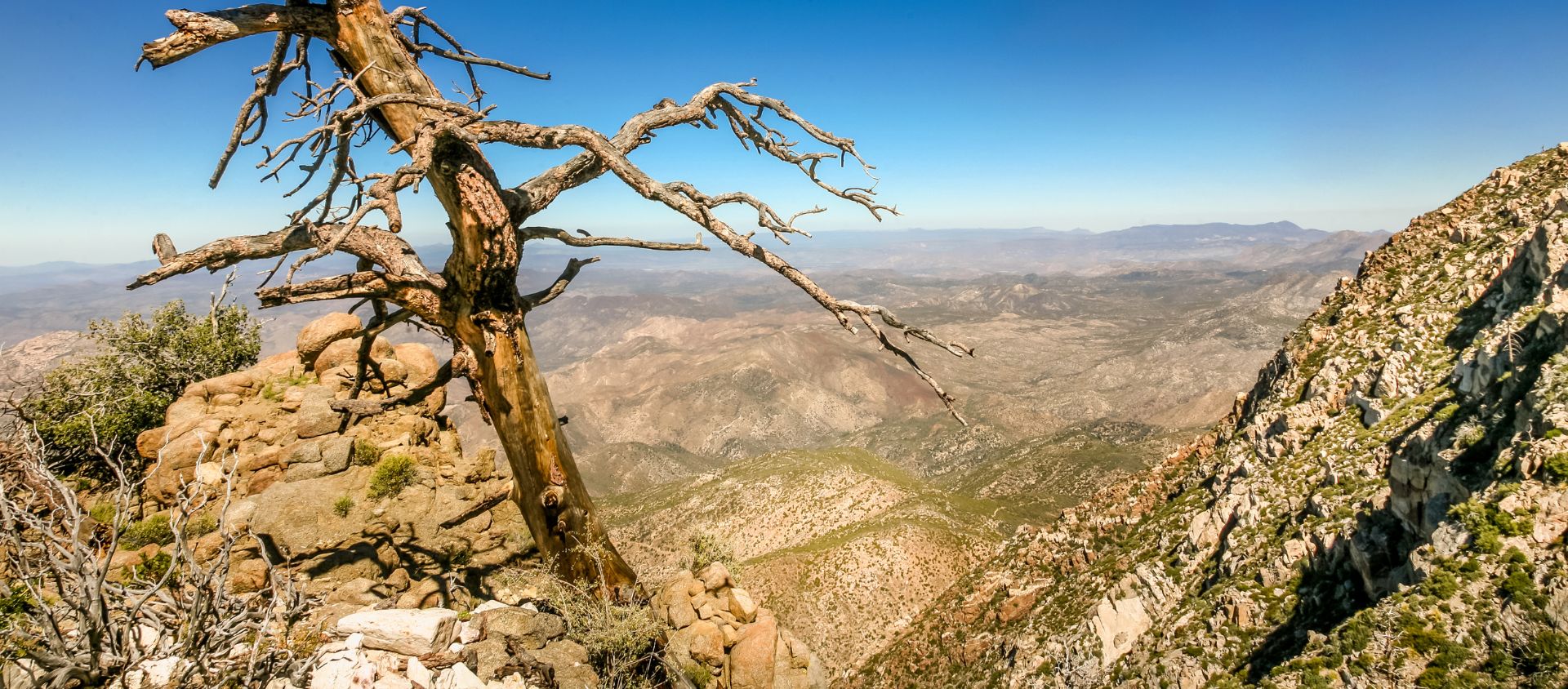 San Pedro Mártir mexique