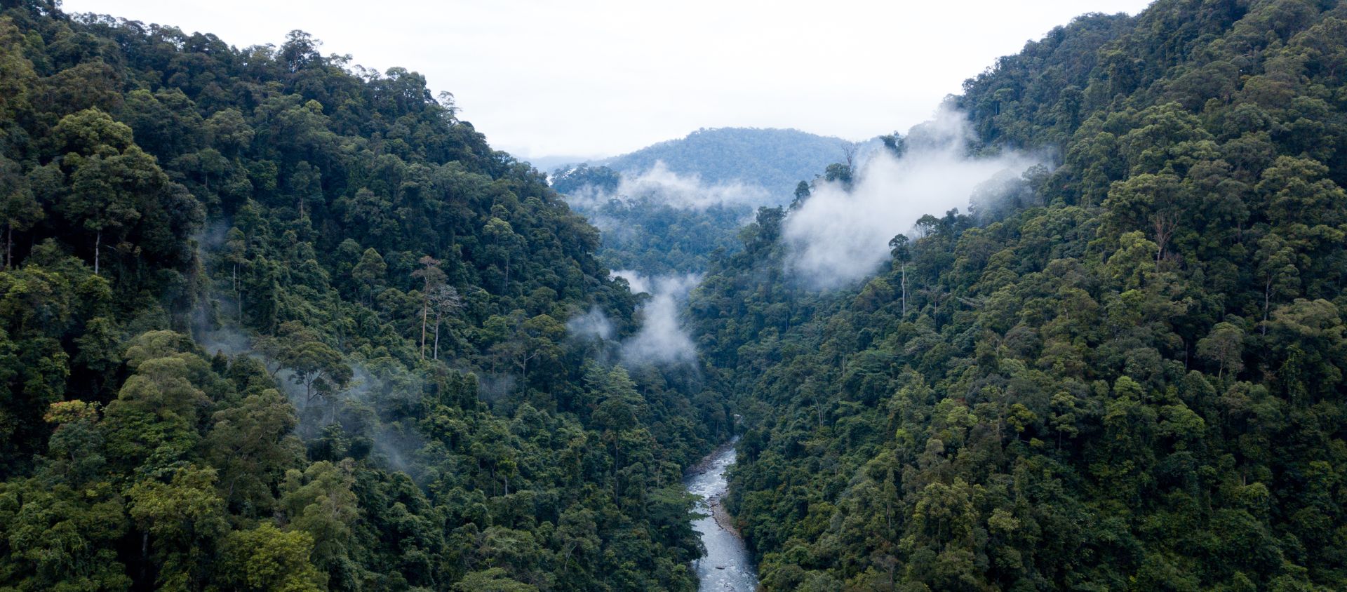 Sumatra indonésie