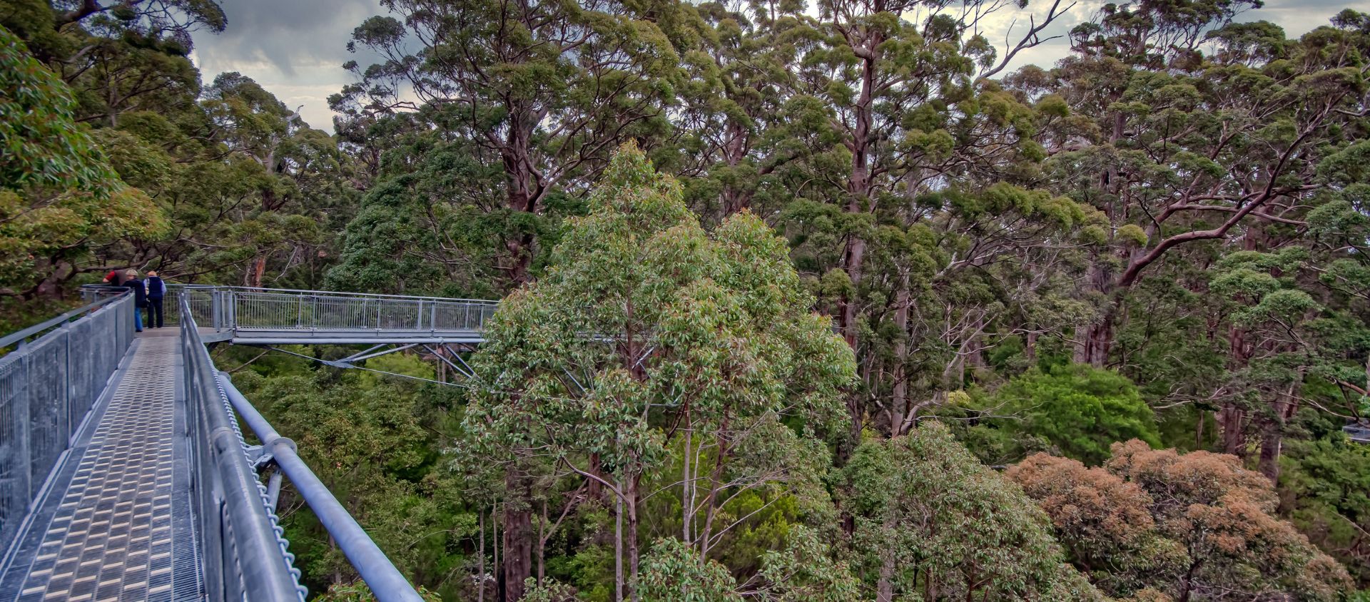 TreeTop Walk singapour