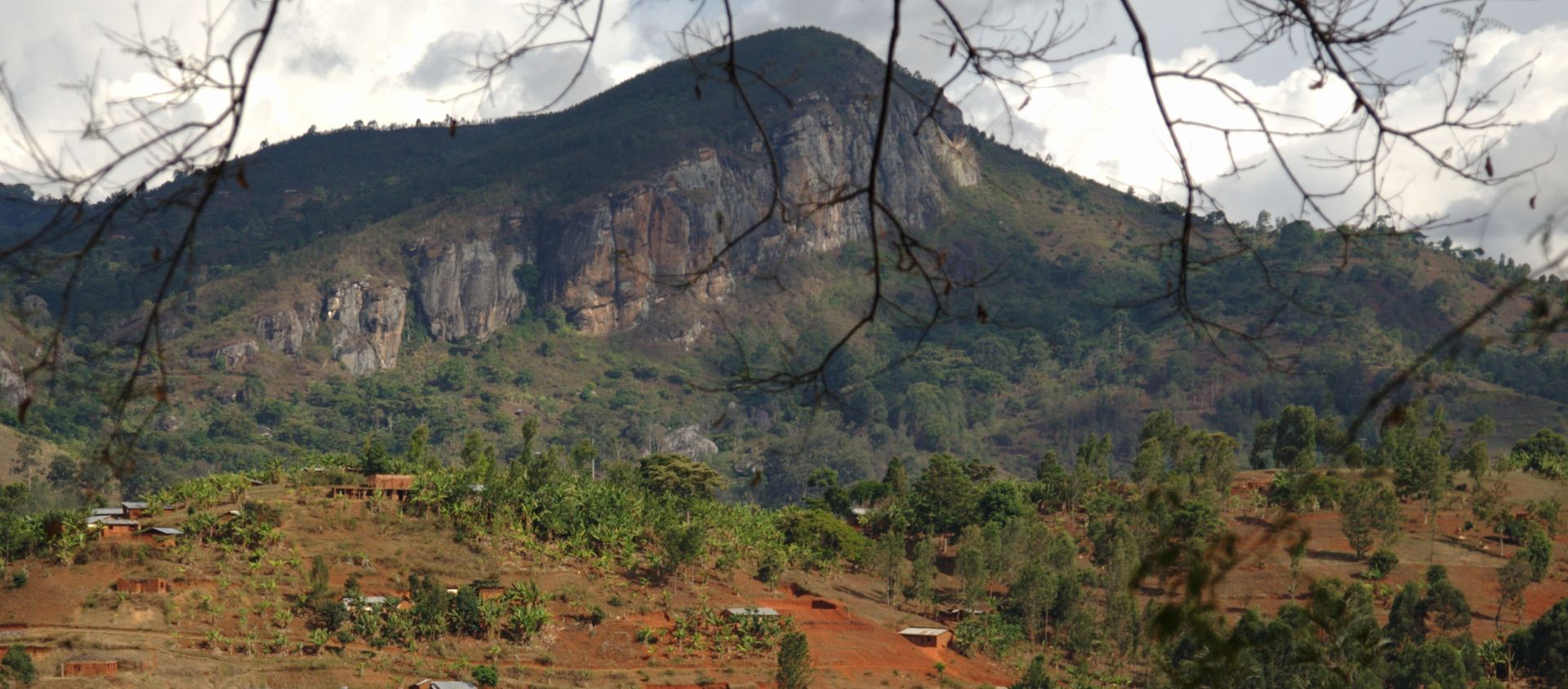 Usambara tanzanie