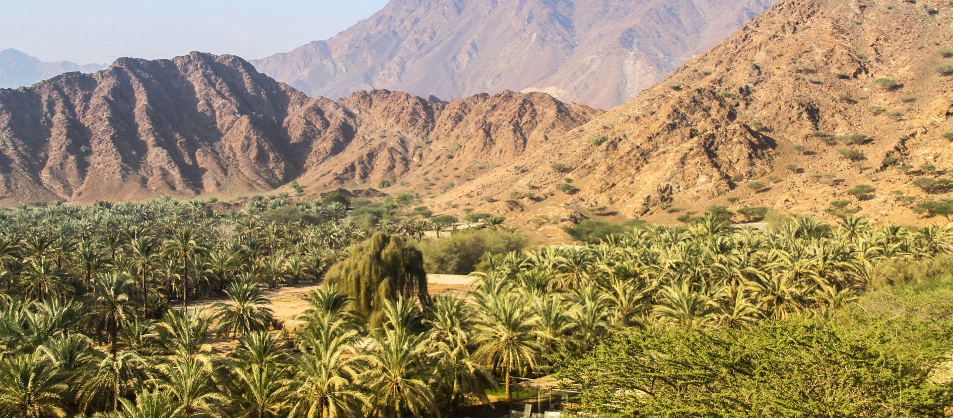 Wadi al Helo Fujairah