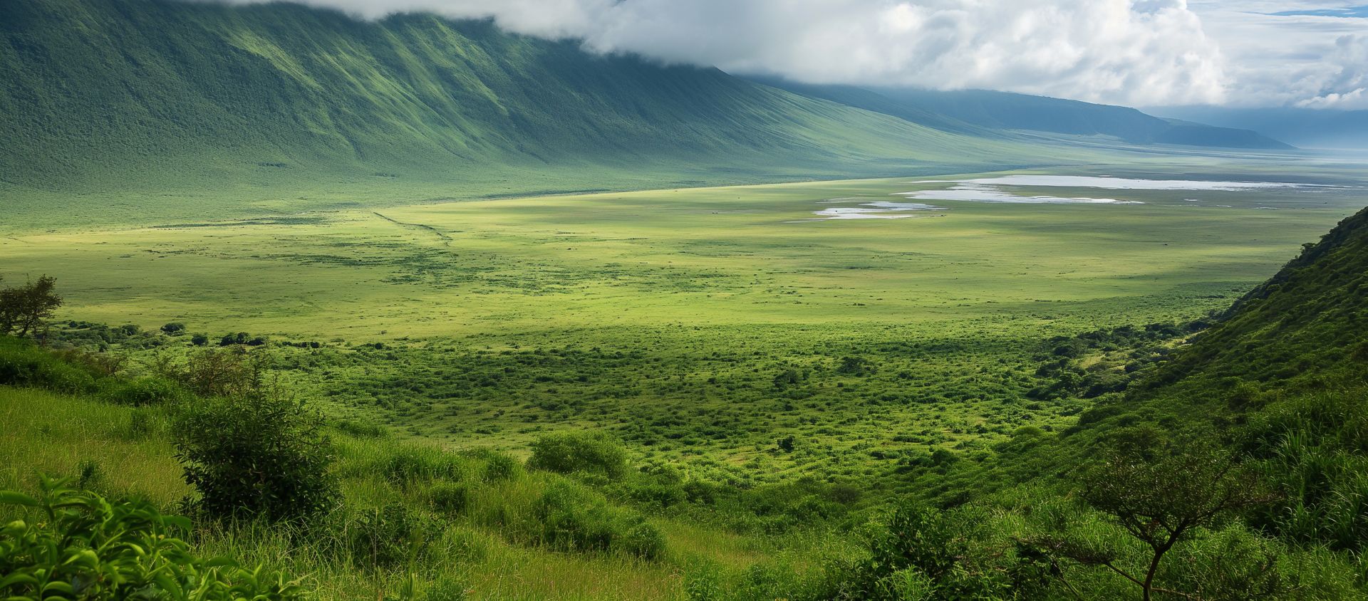 cratère du Ngorongoro