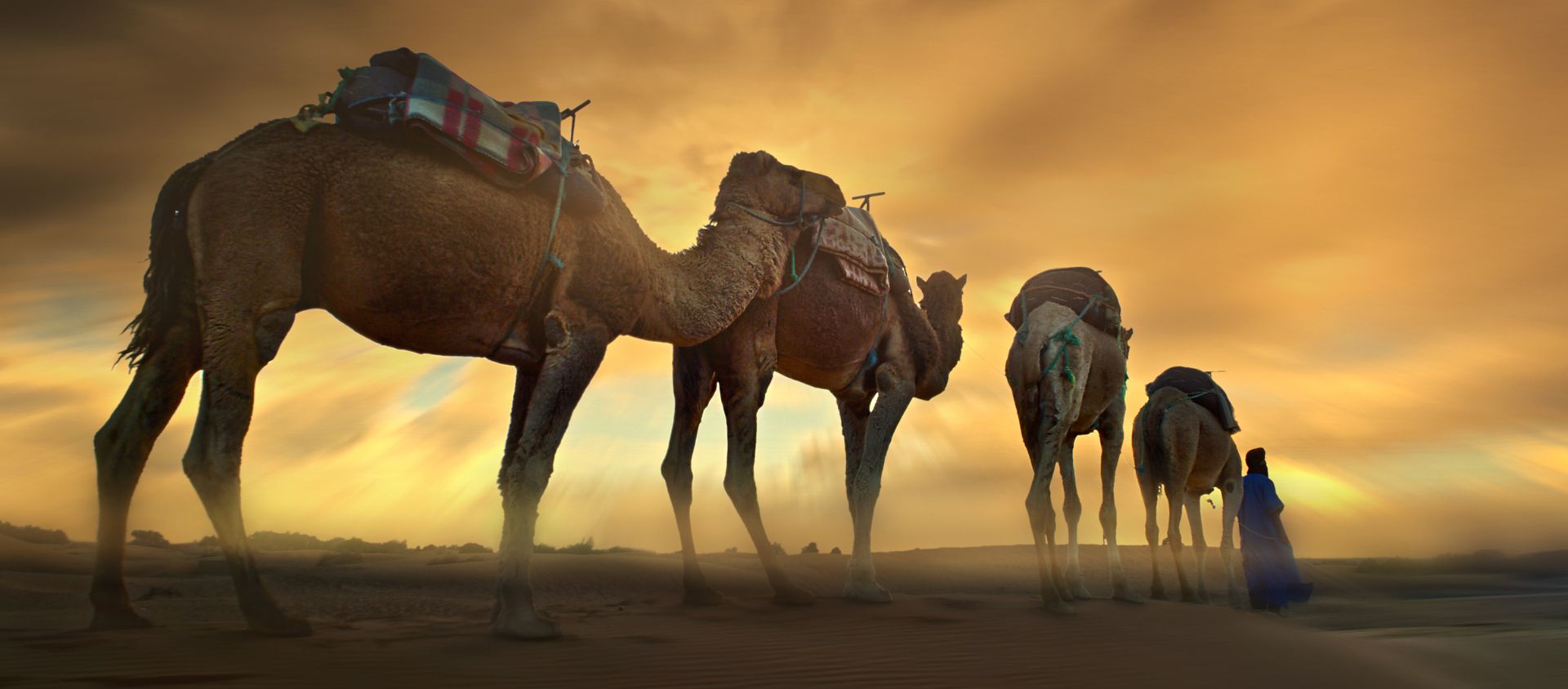 desert sahara