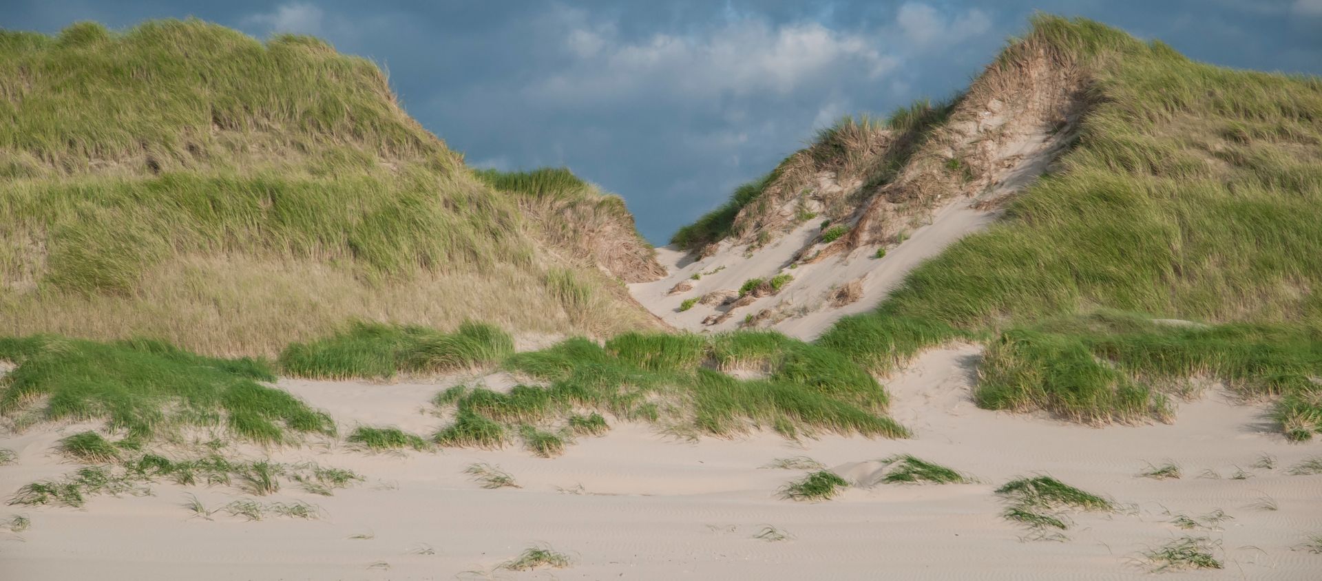 dunes de Schoorl pays bas