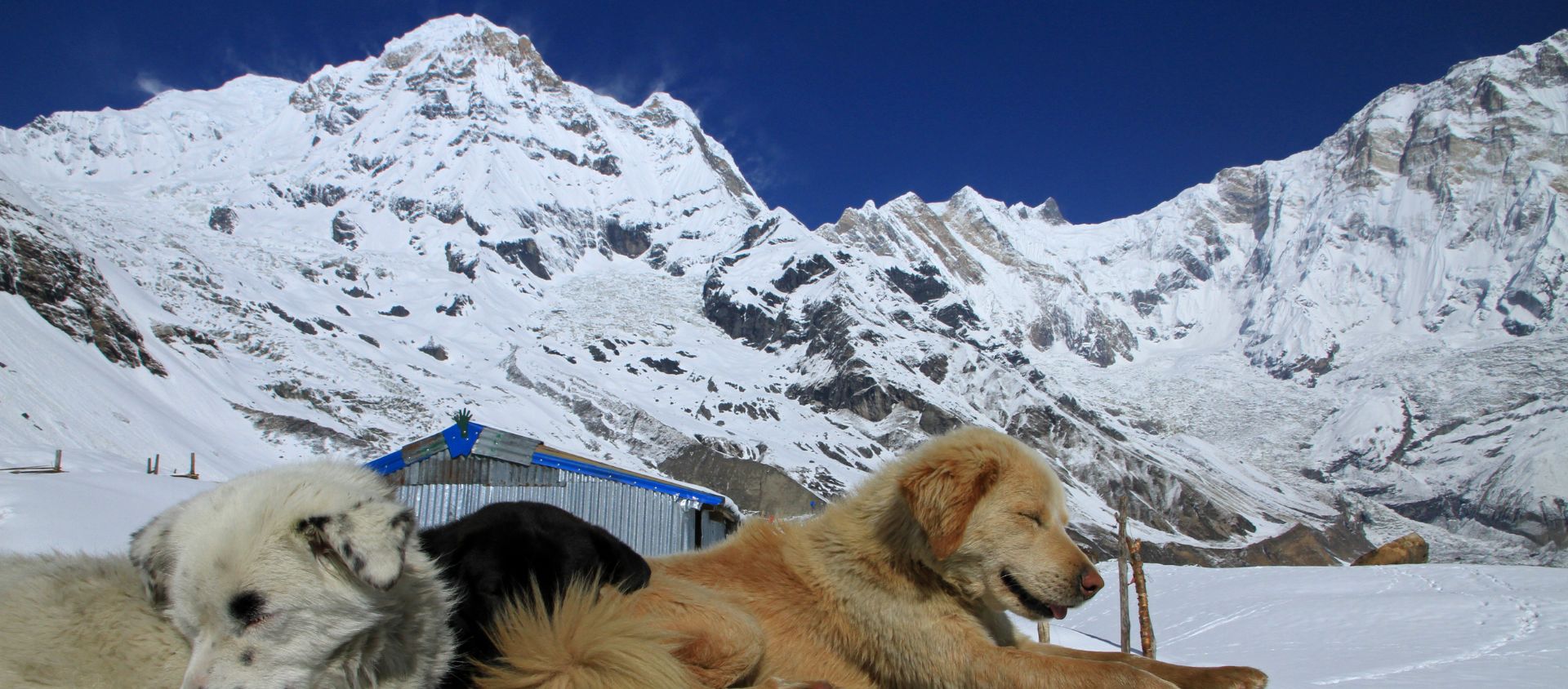 Trek Haute Route des Annapurnas par le col Namun-la