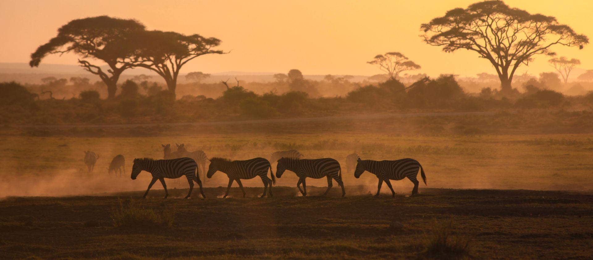nature kenya