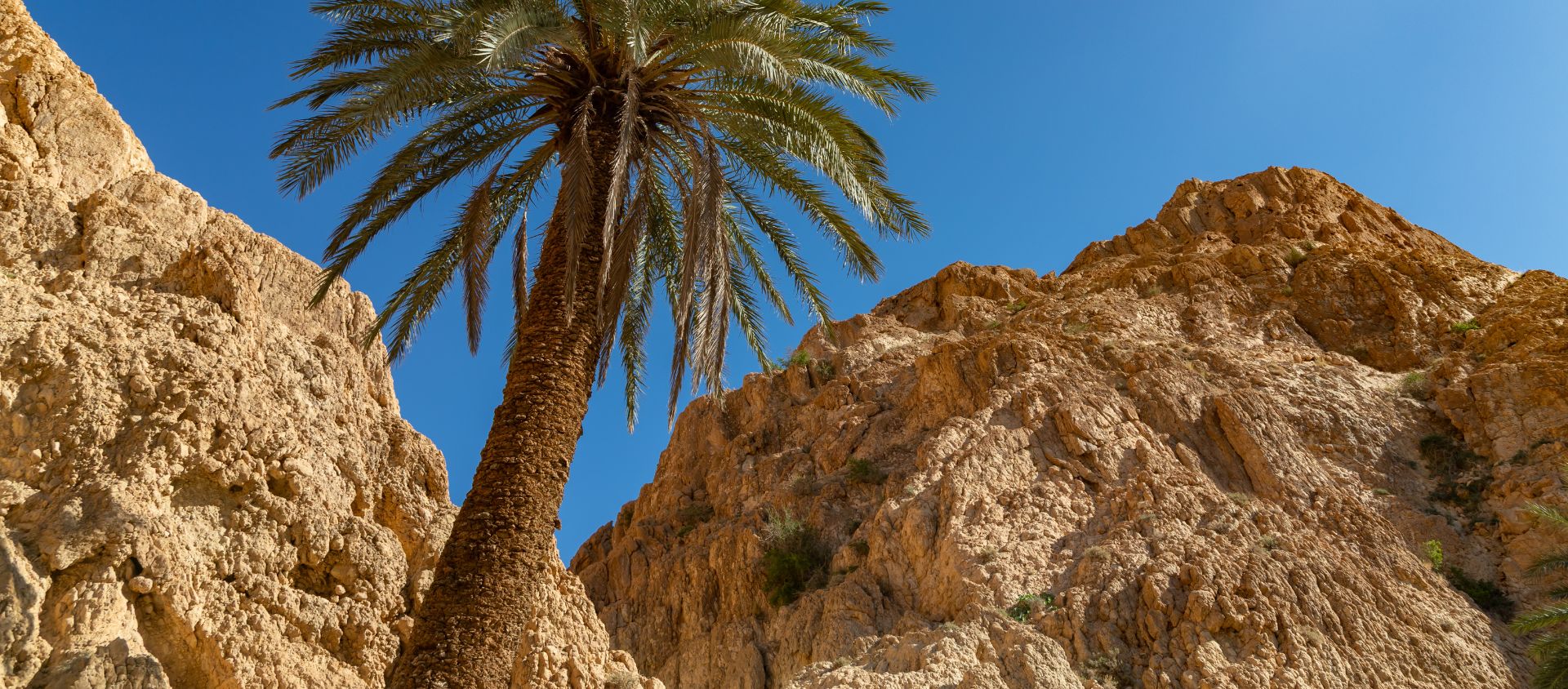 oasis de montagne du Sud tunisie