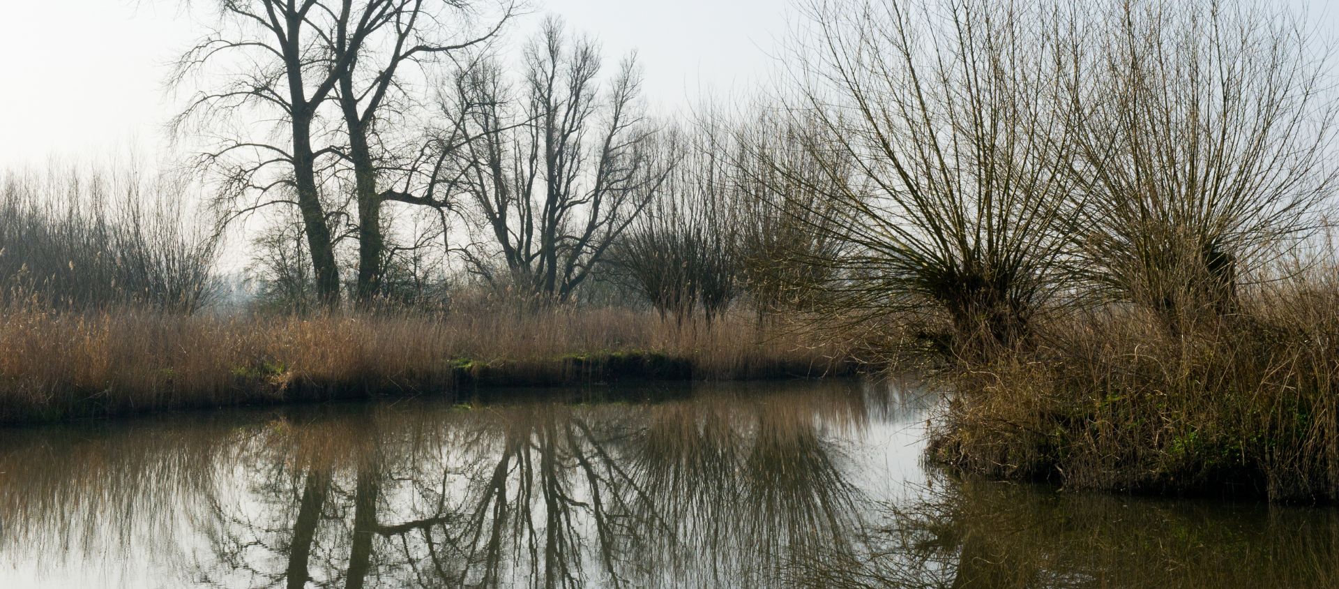 parc national De Biesbosch pays bas