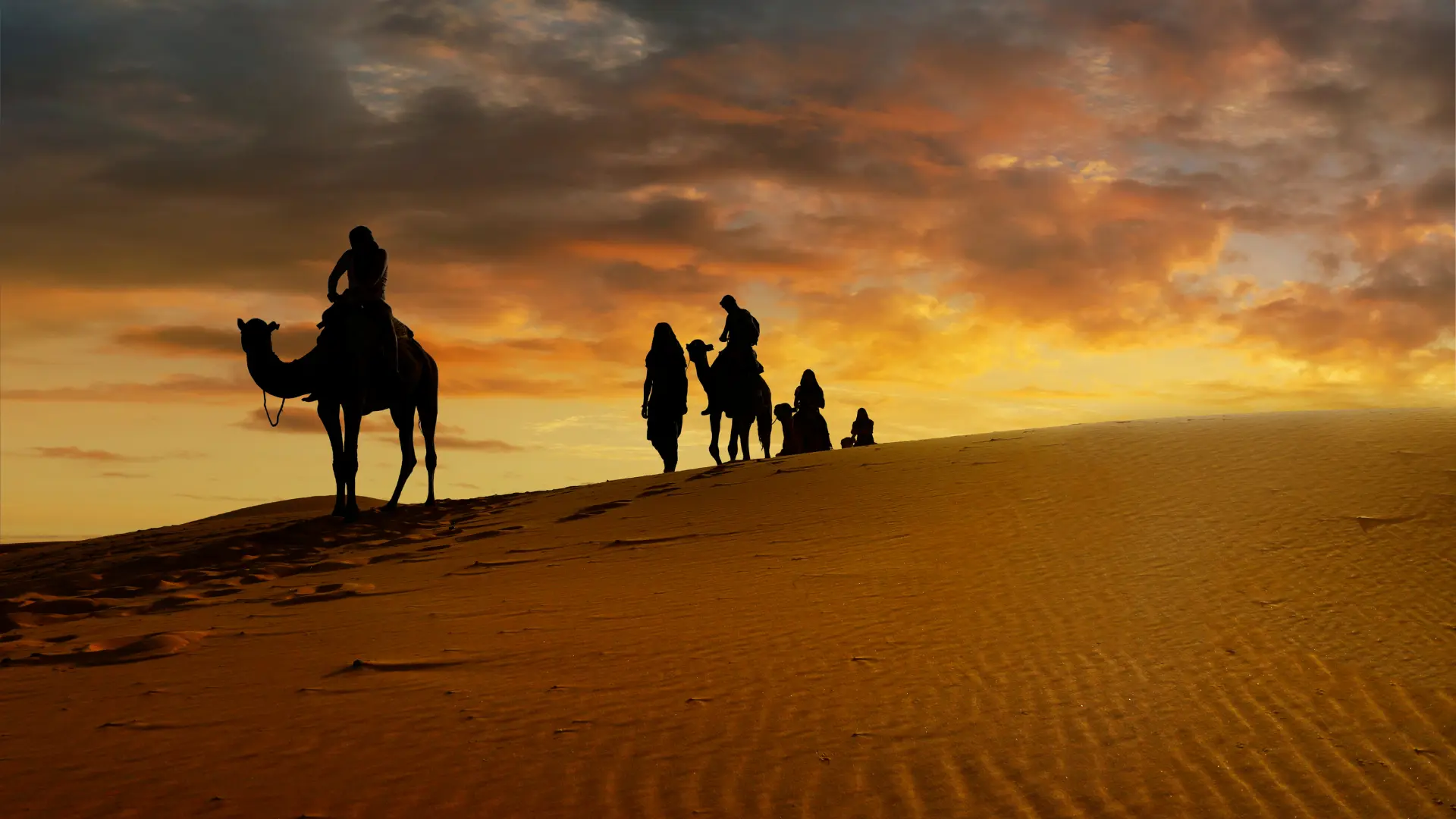 sahara-maroc-expedition
