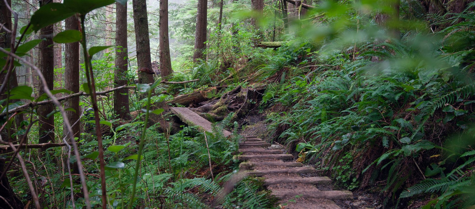 sentier de la Côte-Ouest canada