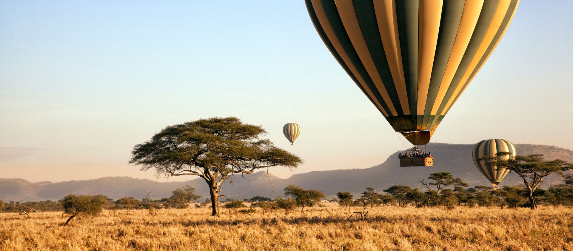 tanzanie safari parc national du Serengeti