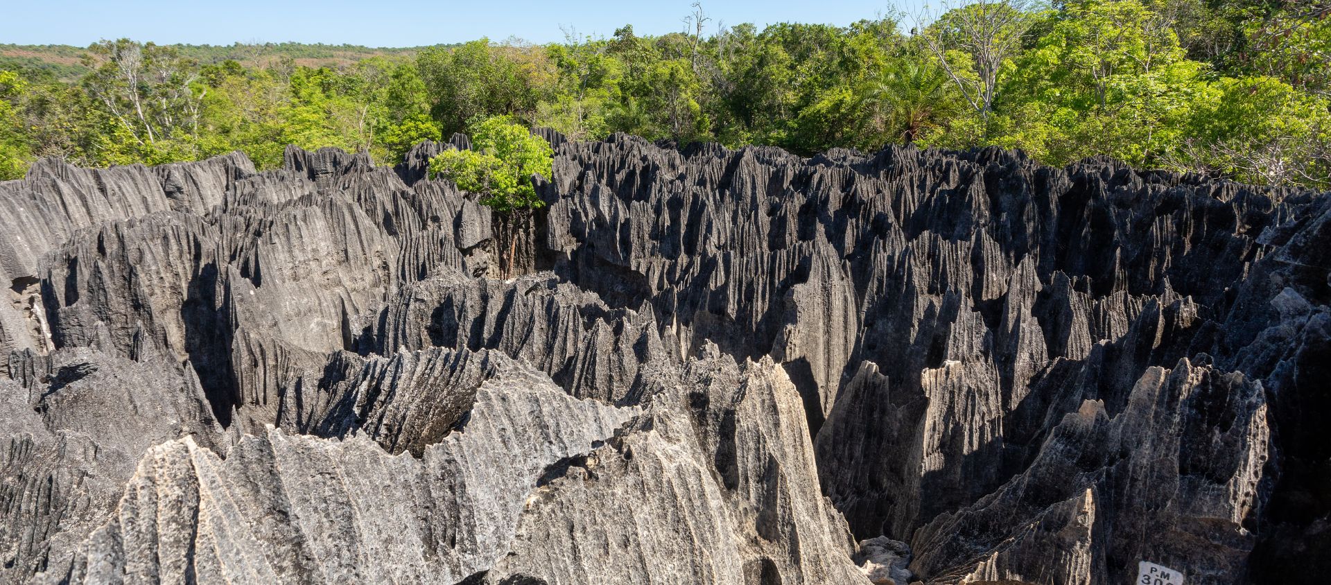tsingy de Bemaraha madagascar