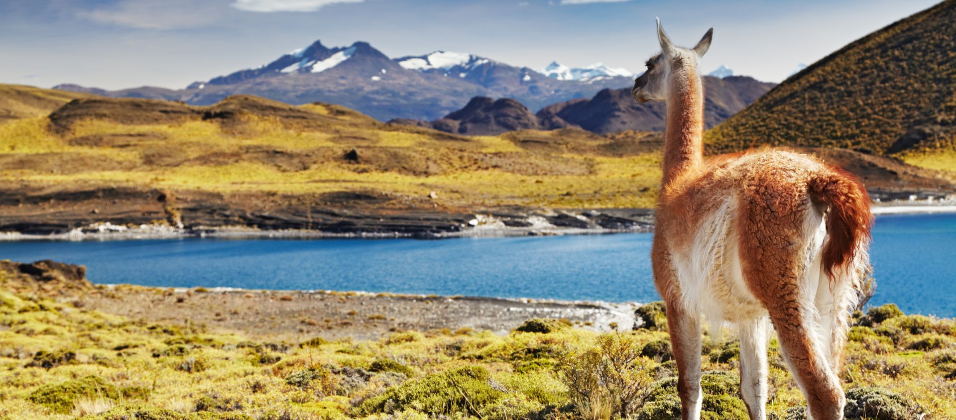 Chili et la cordillère des Andes