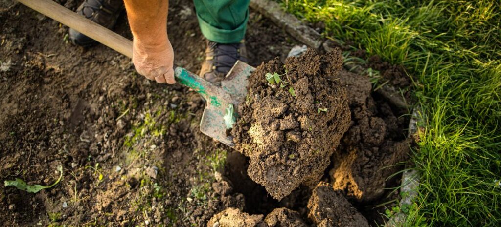 Débuter en permaculture : les outils indispensables pour bien s’équiper