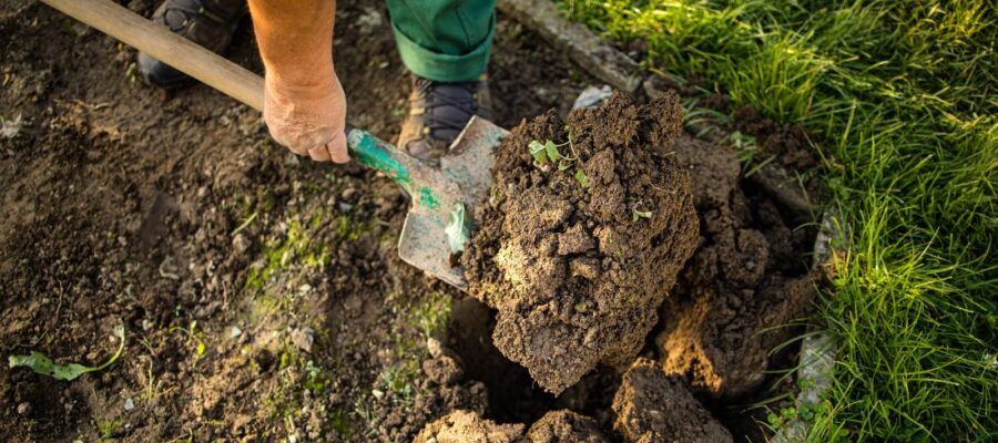 Débuter en permaculture : les outils indispensables pour bien s’équiper