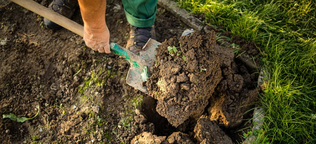 Débuter en permaculture : les outils indispensables pour bien s’équiper