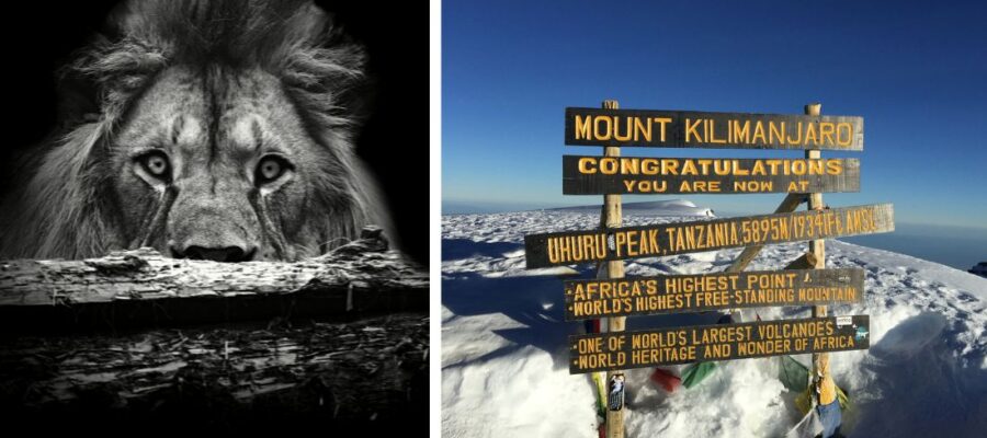 Kilimandjaro ou Safari ? Quel voyage en Tanzanie pour débuter ?