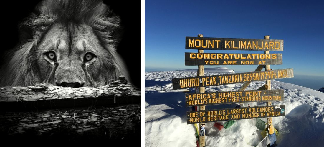 Kilimandjaro ou Safari ? Quel voyage en Tanzanie pour débuter ?