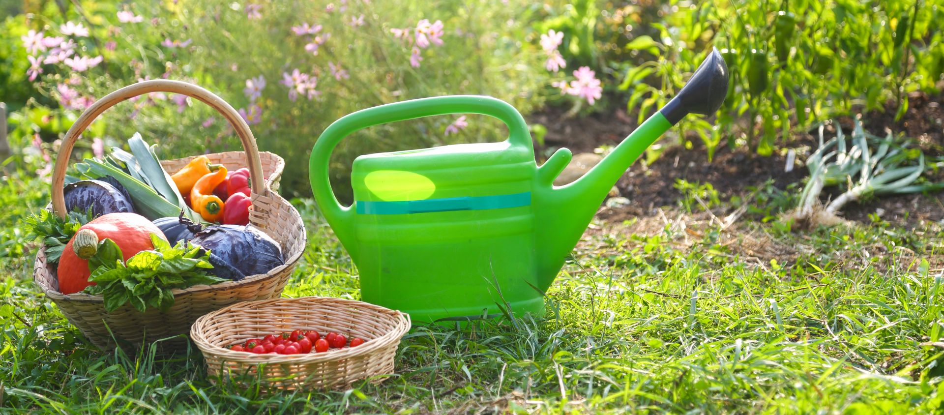 Le matériel pour l'arrosage intelligent