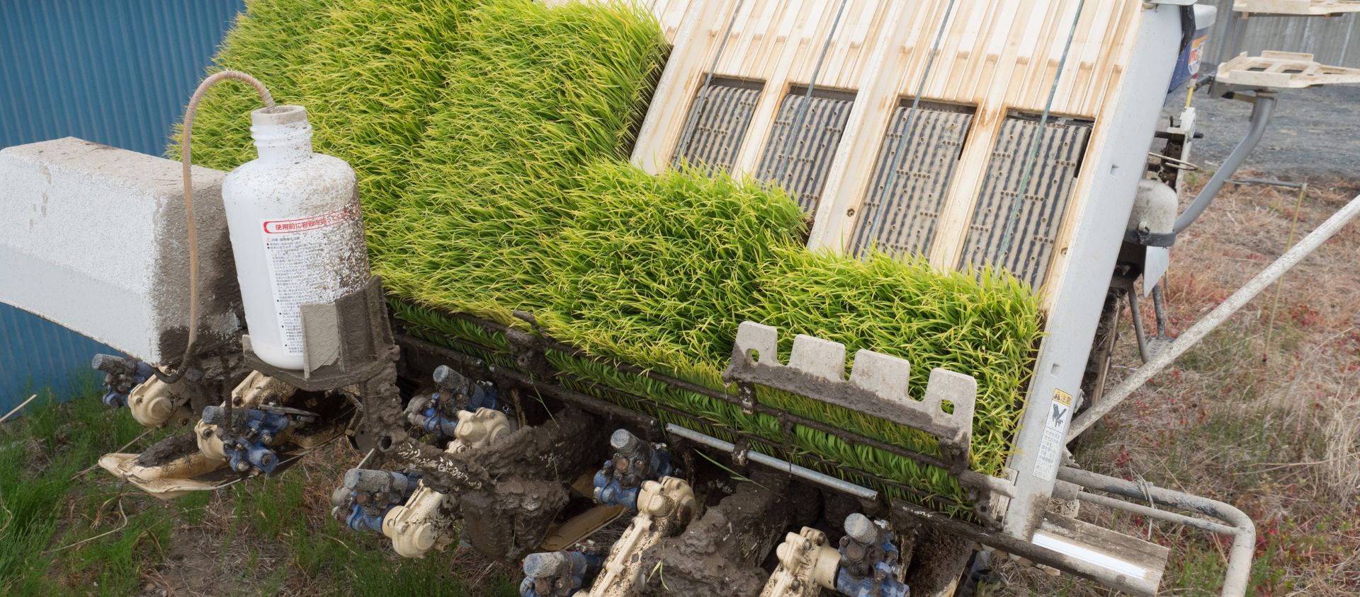 L'équipement pour les semis et plantations