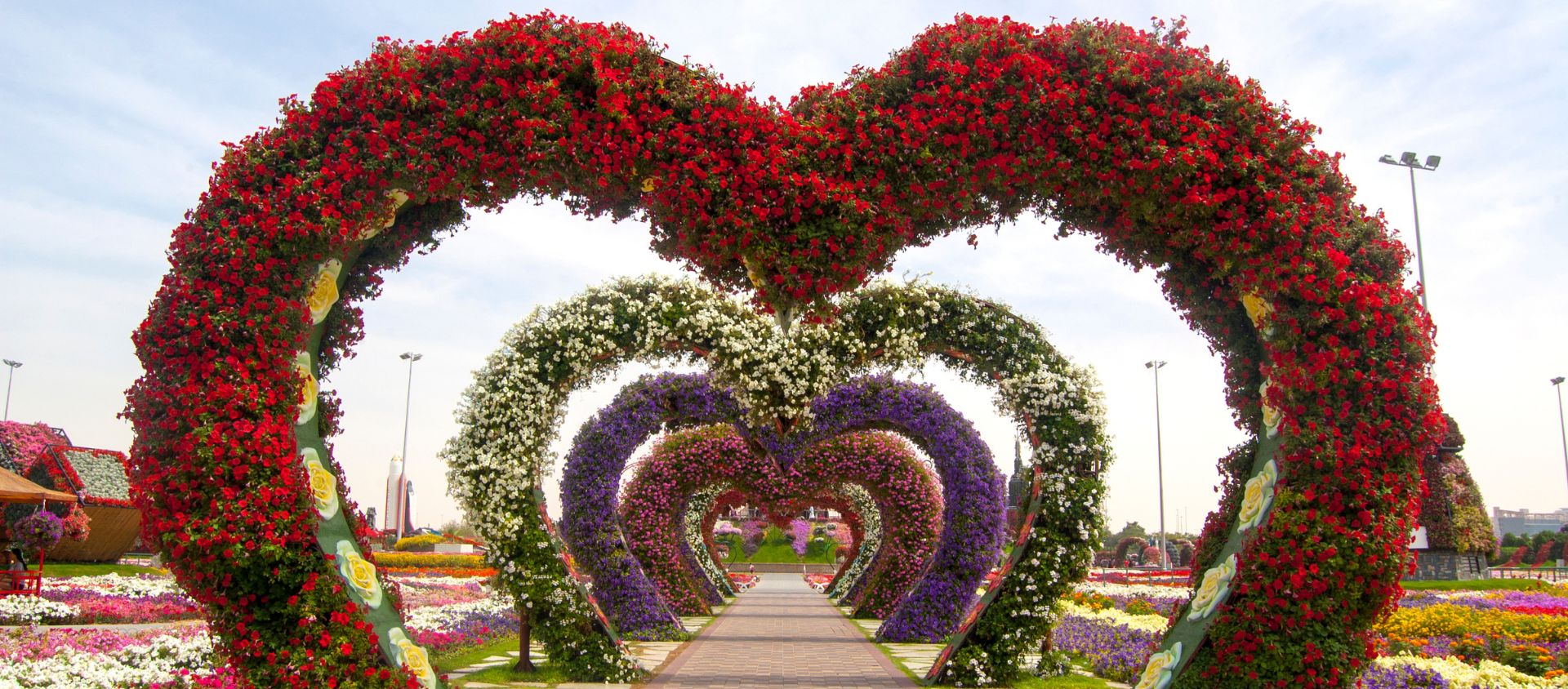 Miracle Garden