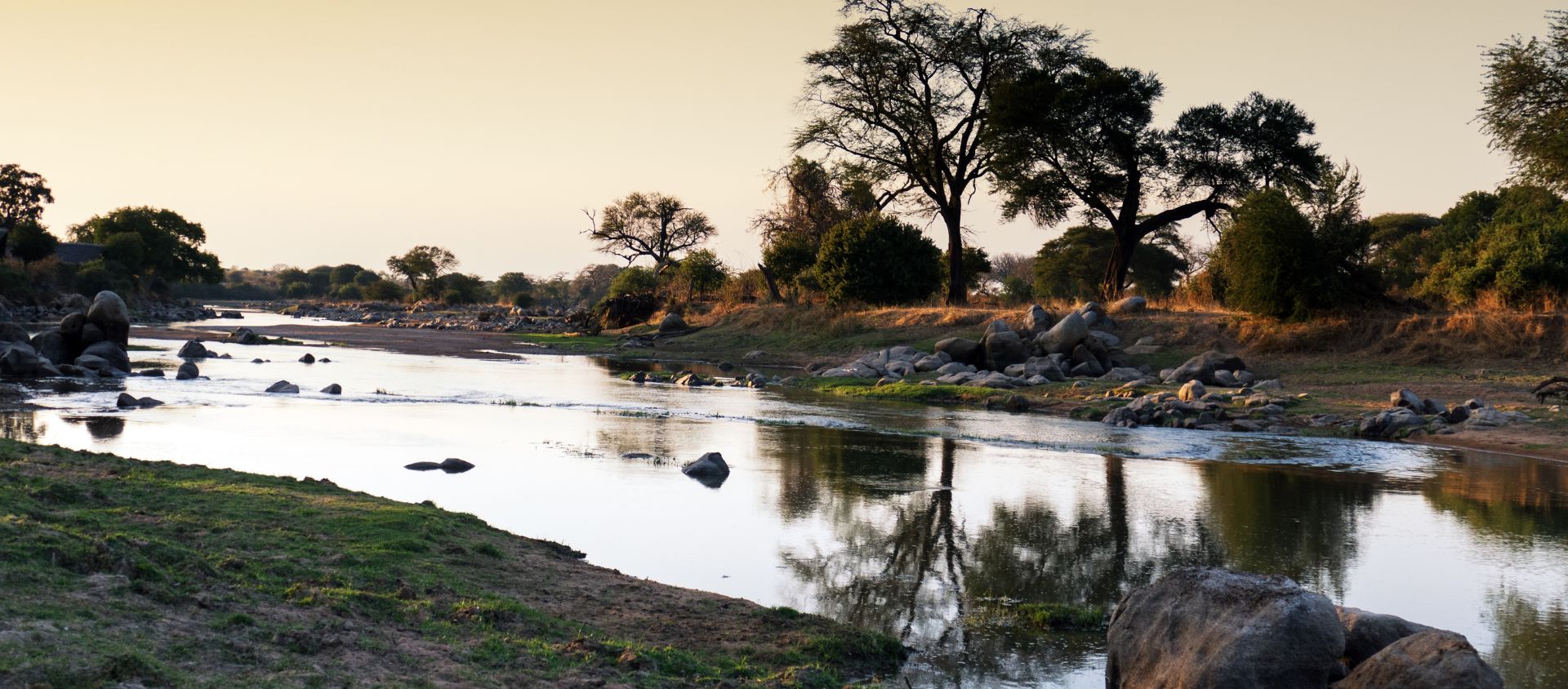 Ruaha tanzanie