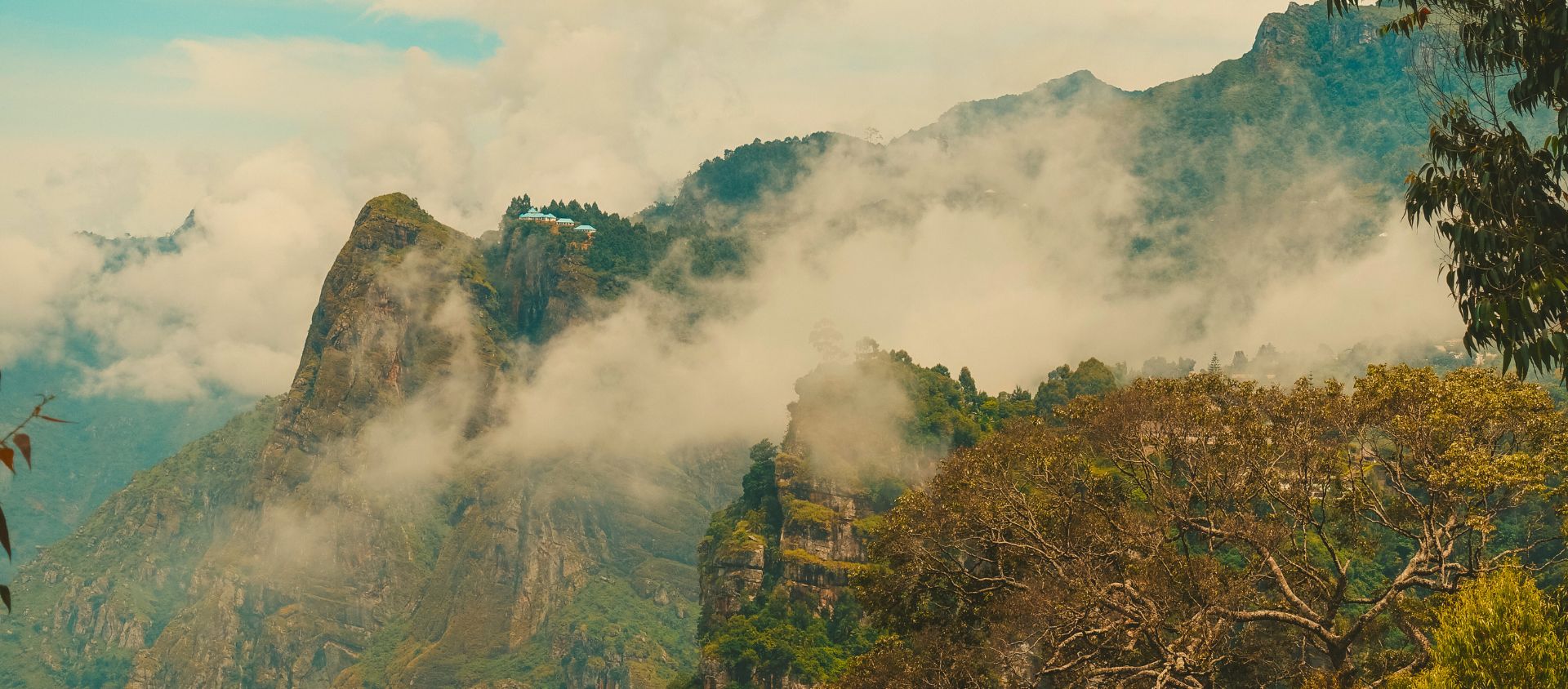 Usambara tanzanie temps climat