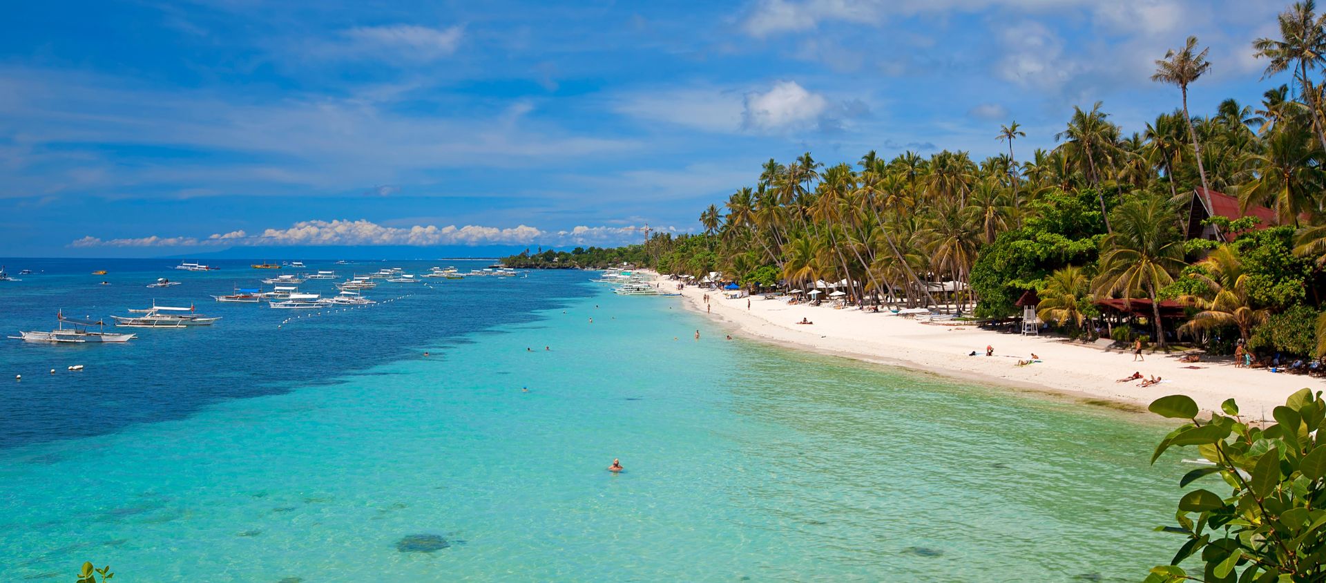 bohol les philippines